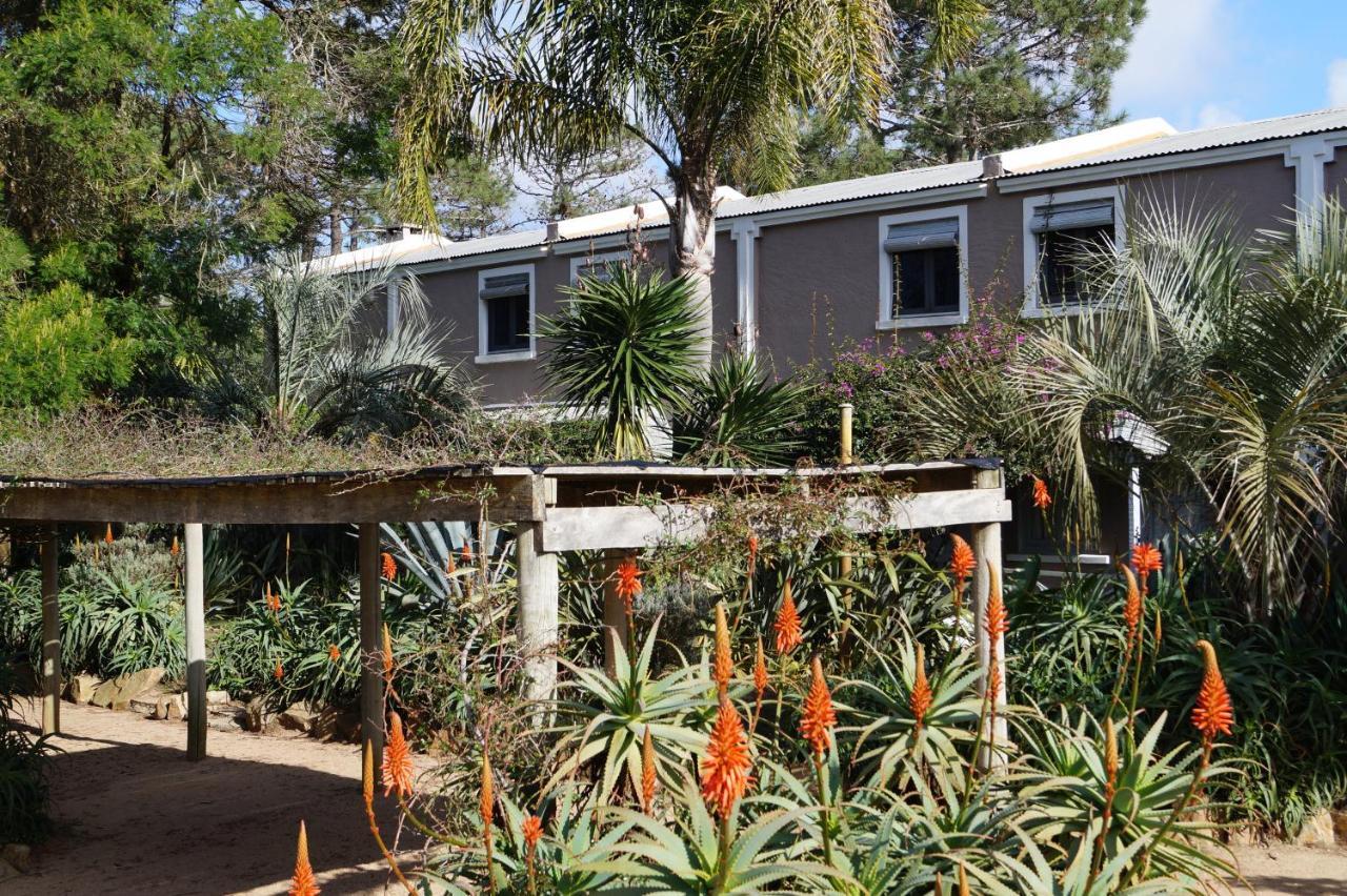 Posada Del Corumba La Paloma Exterior foto